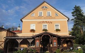 Pension Herman